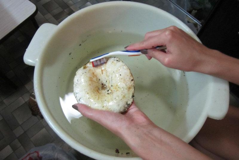 Zubereitung von Pilzen zum Salzen