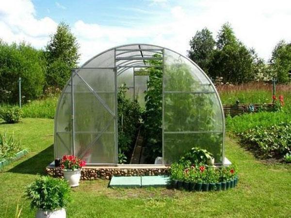 zeleninová zahrada a skleník