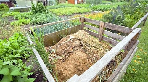 pilinový kompost
