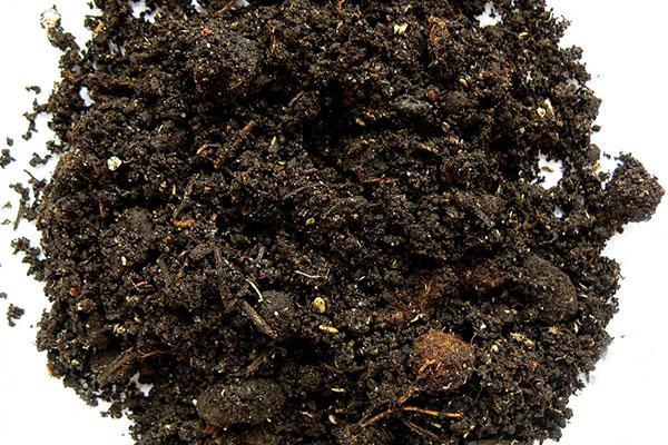 Boden mit Vermiculit lockern