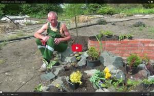 فيديو كيف تصنع الجنينة في الريف
