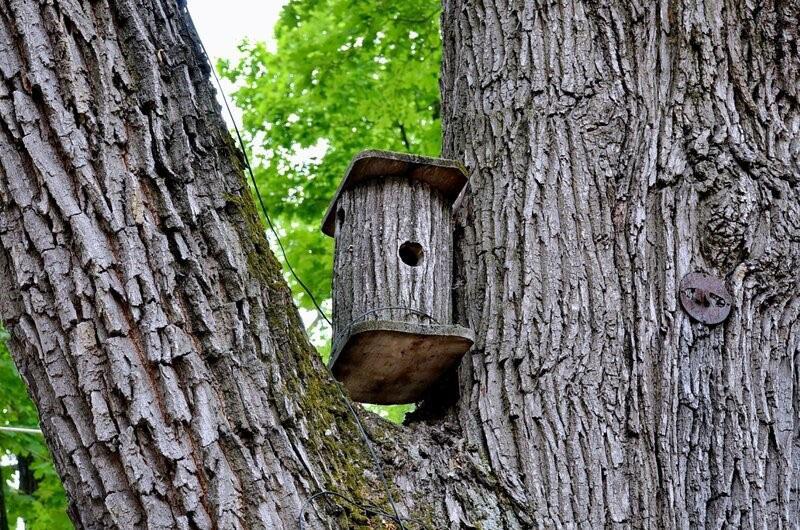 Vogelhaus zum Selbermachen aus einem Baumstamm