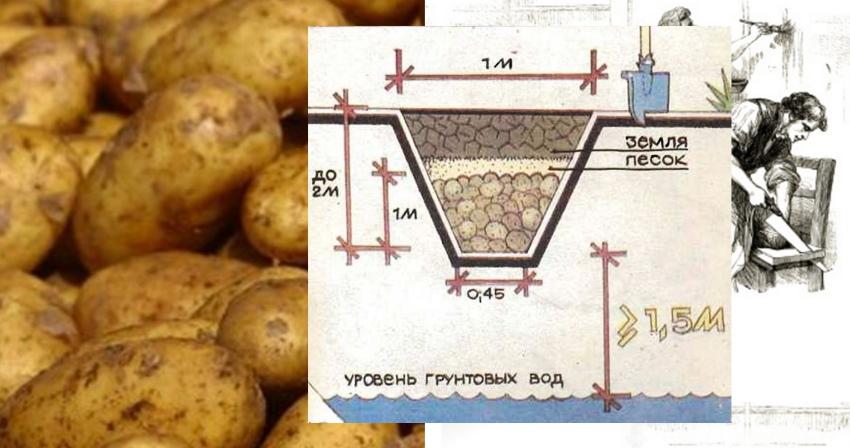 jak udělat jámu hromadu brambor