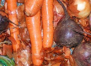 Karotten in Zwiebelschalen lagern