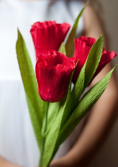 Rdeči tulipani