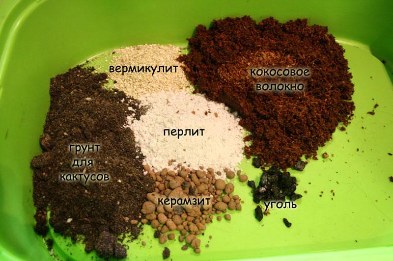 Inhaltsstoffe für Bodenkakteen
