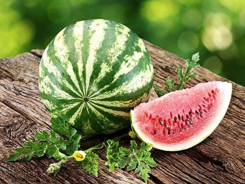Essen Sie Wassermelonen während der Massenreifung