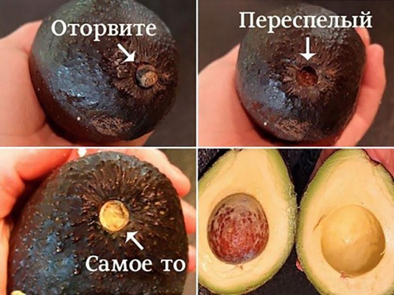 Auswahl der richtigen Avocado