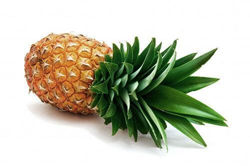 Unter bestimmten Regeln kann Ananas bis zu 14 Tage gelagert werden.