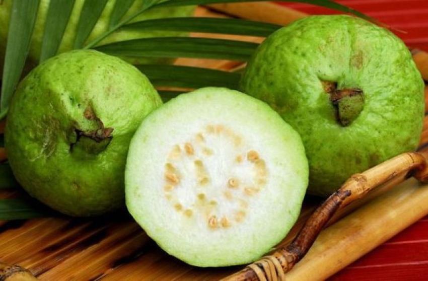 ovoce guava