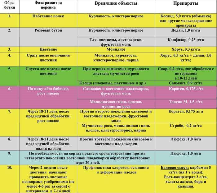plán zpracování broskví v moskevské oblasti