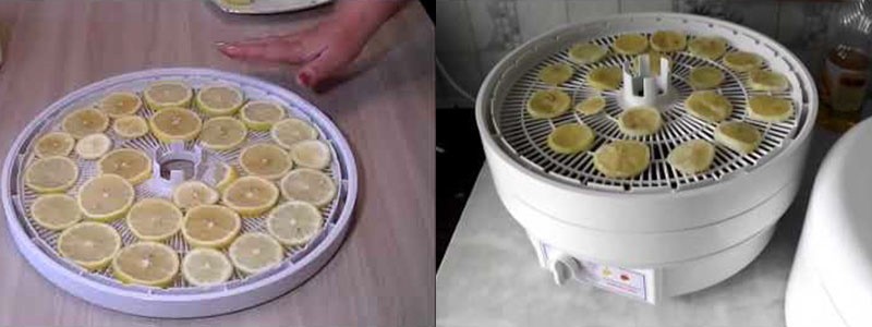 wie man Zitrone für die Dekoration in einem elektrischen Trockner trocknet