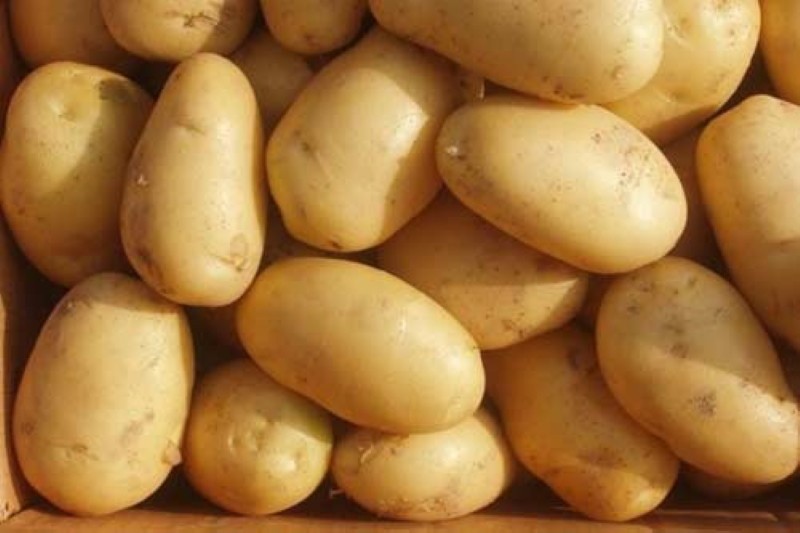 Vor- und Nachteile von Kartoffellilie