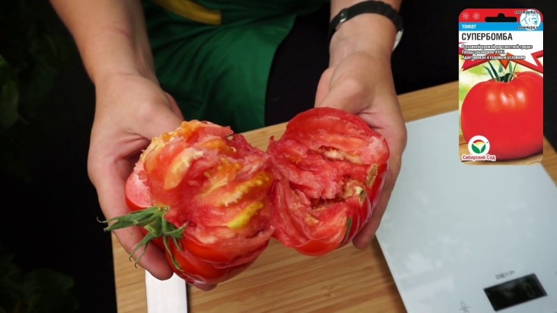 Tomatenfrucht Superbombe