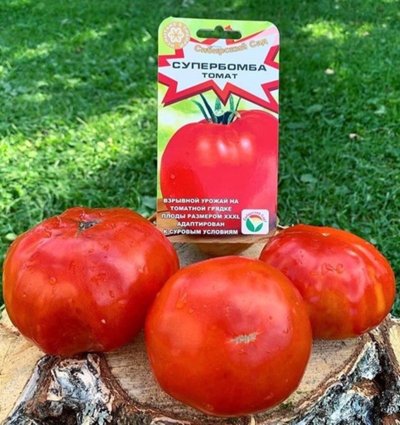 Vor- und Nachteile von Tomaten-Superbomben