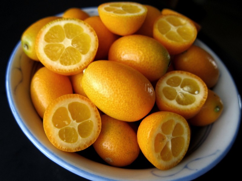 ovoce kumquat