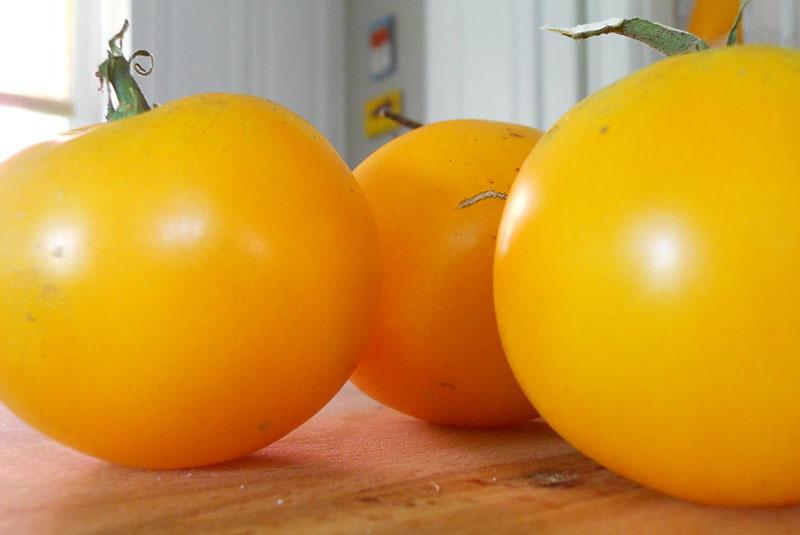 تحضير الطماطم