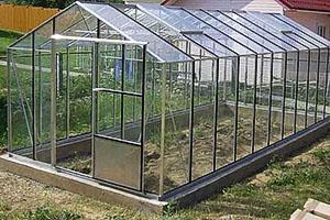 skleněný skleník