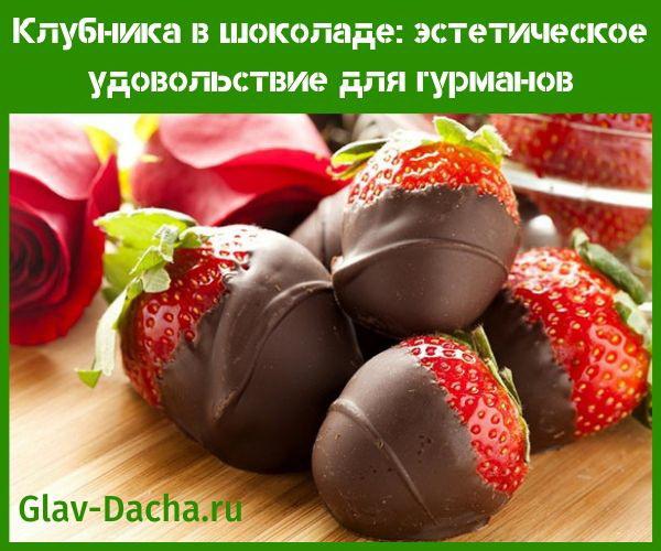 jahody pokryté čokoládou