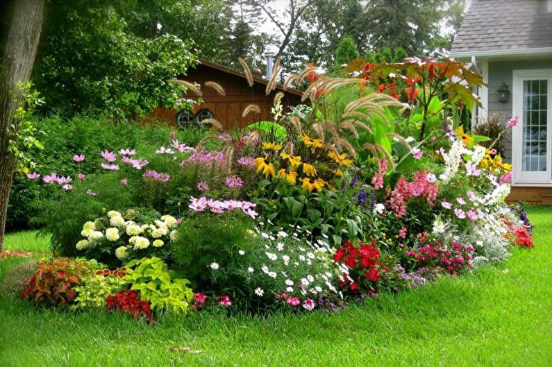 מיקסבורדר - ערוגת פרחים בארץ, רעיונות לעיצוב נוף