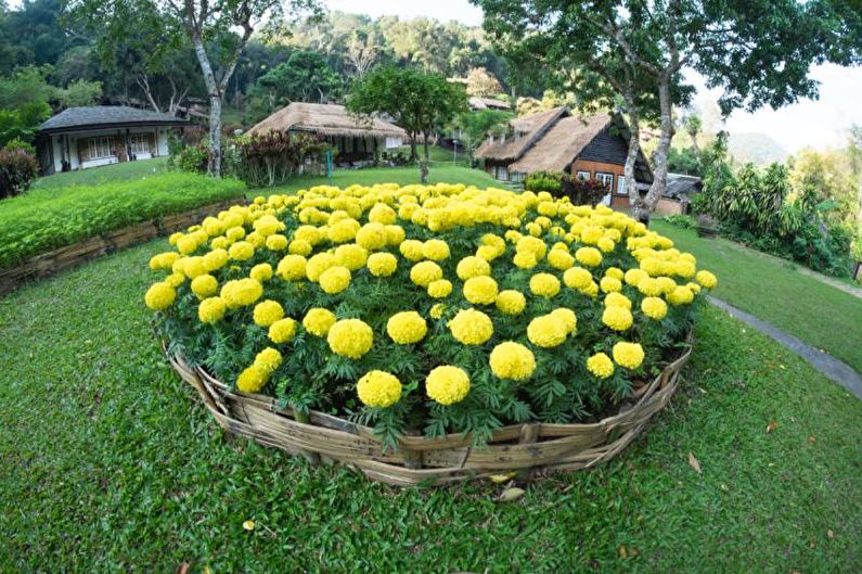 Mono kvety - Kvetinový záhon v krajine, nápady na úpravu krajiny