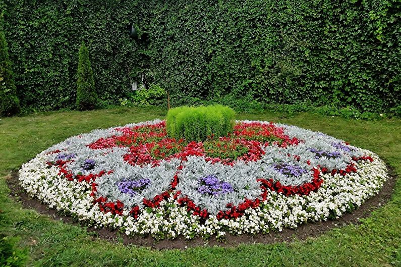 DIY παρτέρι - Κανόνες για την επιλογή λουλουδιών