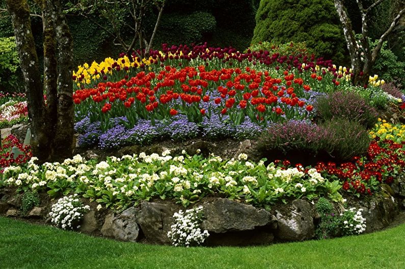 DIY παρτέρι - Κανόνες για την επιλογή λουλουδιών