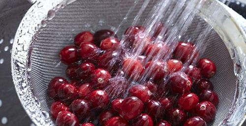 die Cranberries unter fließendem Wasser waschen