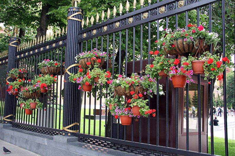Oblikovalske ideje za ograje iz kovanega železa - Dekor za ograje z živimi rastlinami