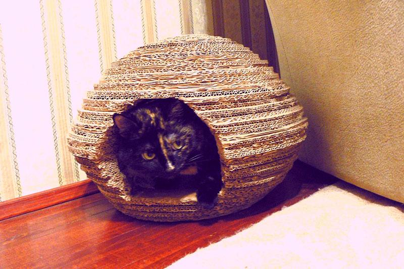 منزل قطة بيديك مصنوع من الورق المقوى المموج