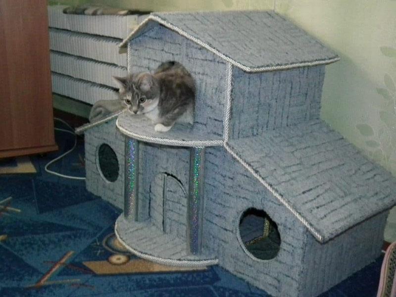 kutilský dvoupatrový dům pro kočku