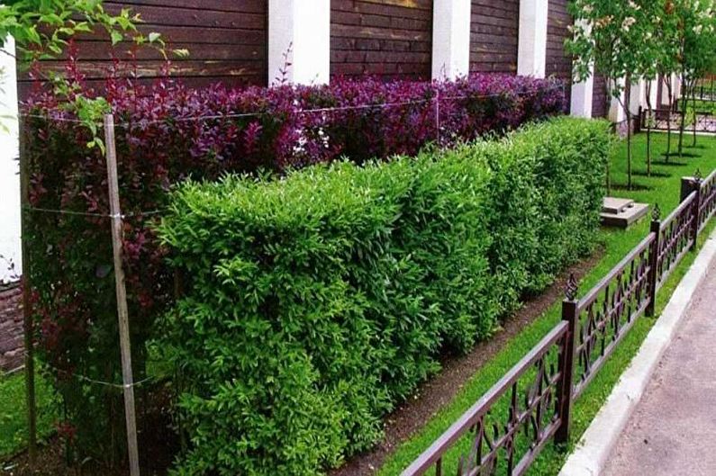 Dekor plotu pre súkromný dom - fotografia