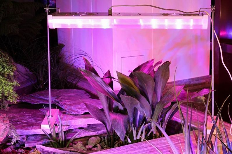 Rastlinske svetilke - UV svetilke