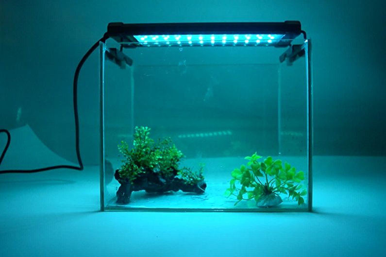 Rastlinné žiarovky - akváriové žiarovky