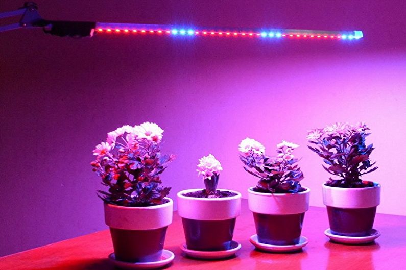 Rastlinske svetilke - LED fito svetilke