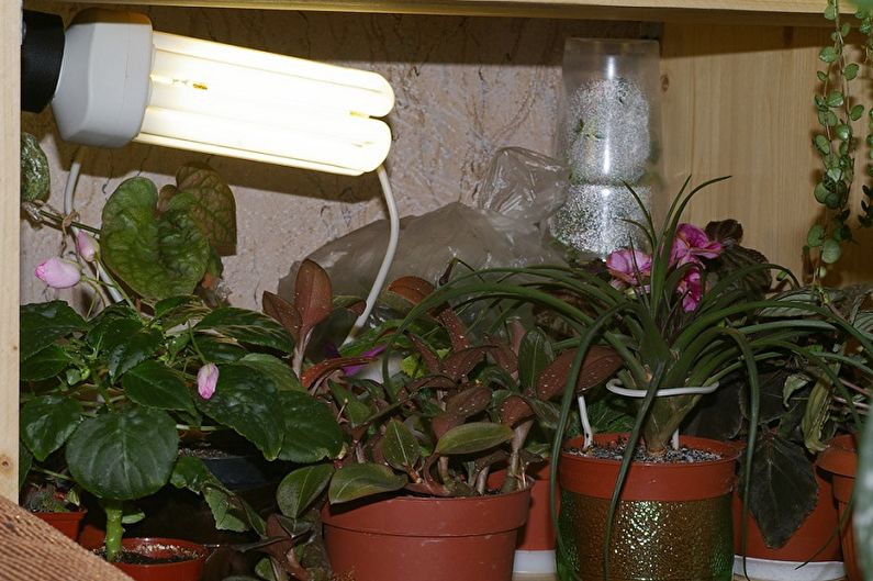 Λαμπτήρες φυτών - Λαμπτήρες εξοικονόμησης ενέργειας