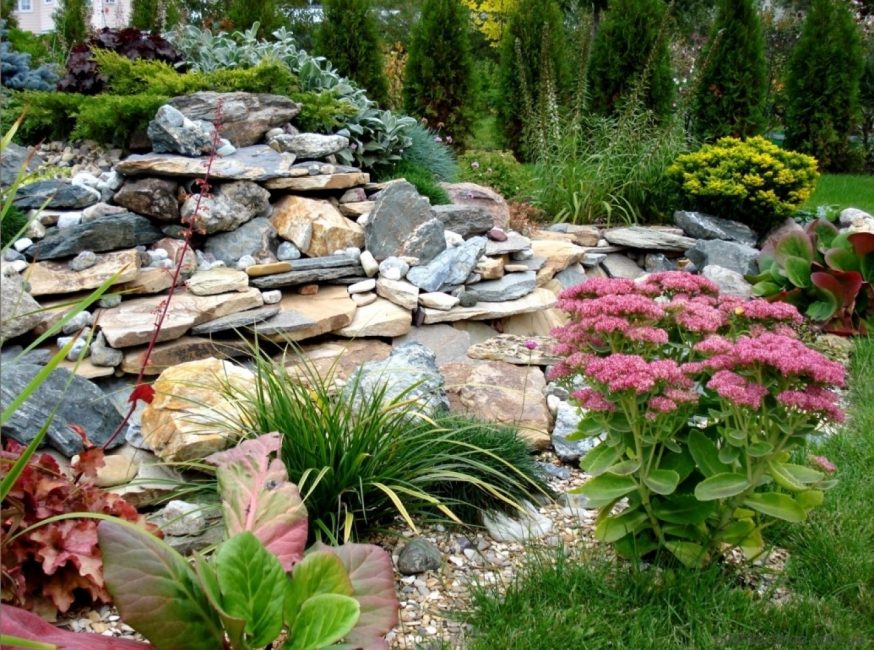 Udekoruj swój ogród ogrodem skalnym