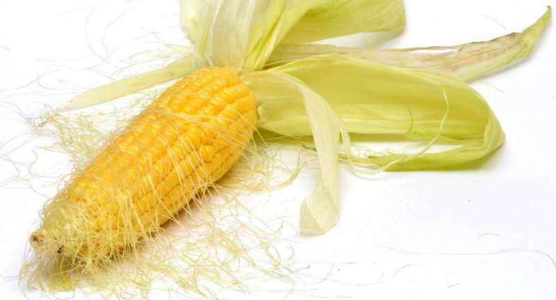 léčivé vlastnosti kukuřičných stigmat