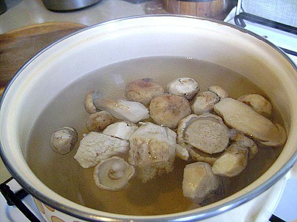 vařit houby