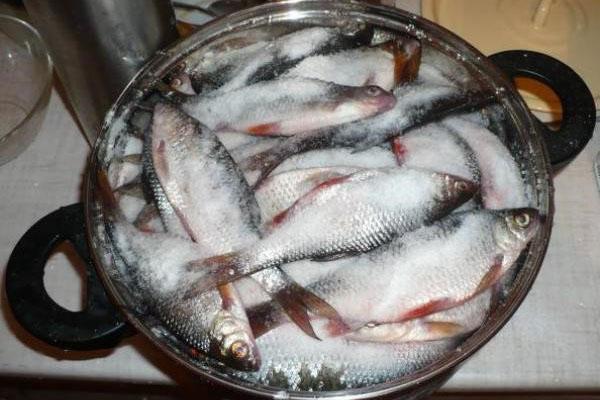 Fisch mit grobem Salz bestreuen