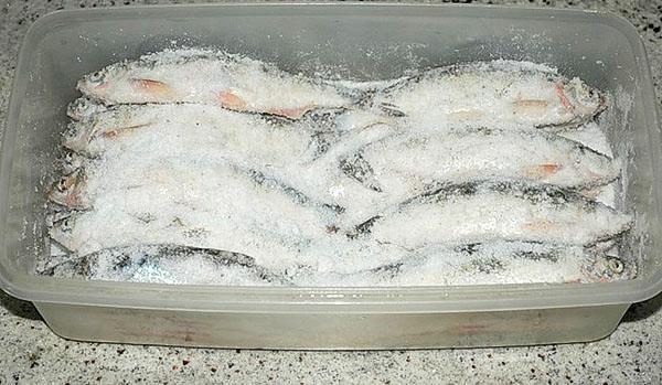 Fisch mit Salz bestreuen