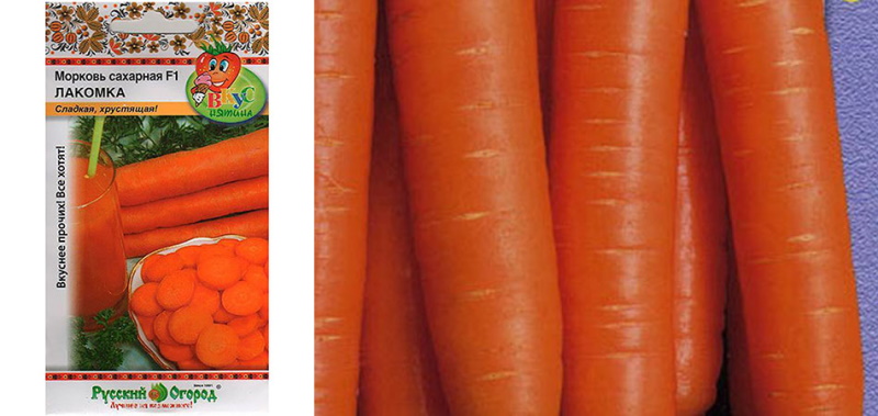 Karottensorte Gourmet