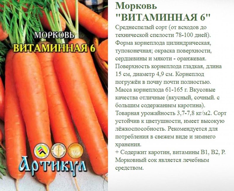 Karotten Vitamin 6