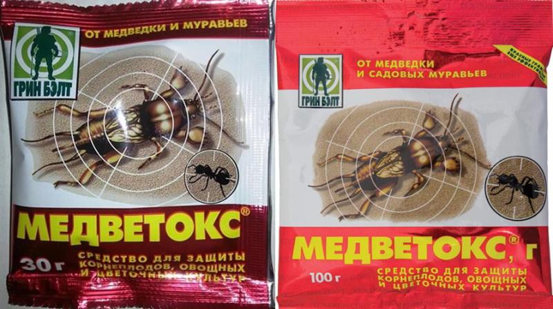 تعليمات medvetox للاستخدام من النمل