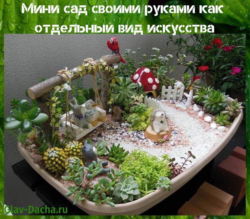 حديقة صغيرة DIY