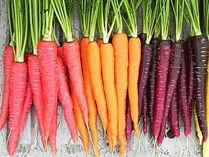 Karottenfrüchte in verschiedenen Farben