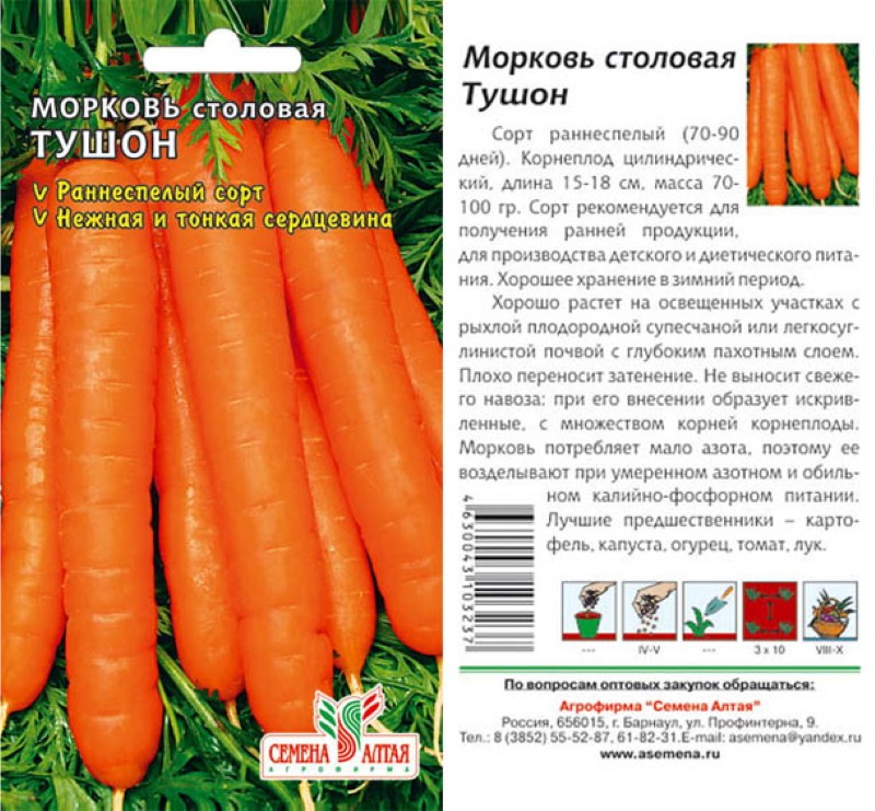 Beschreibung der Karotten-Tushon-Sorte