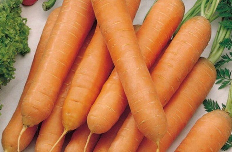 die Vor- und Nachteile von Karotten-Tushon
