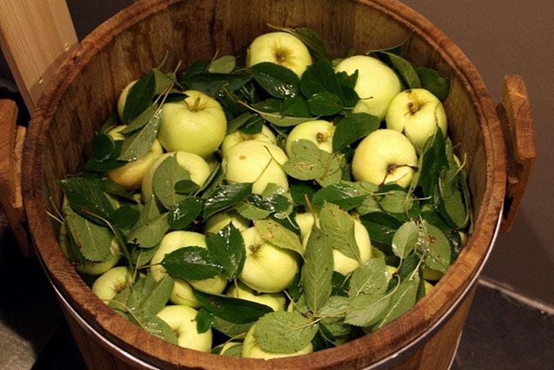 Rezept für eingelegte Äpfel im Geiste der russischen Traditionen