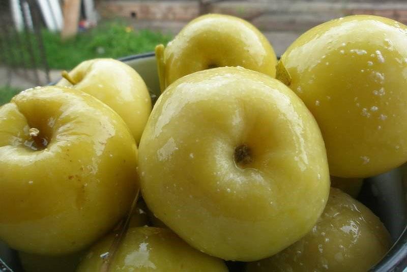leckere eingelegte Äpfel